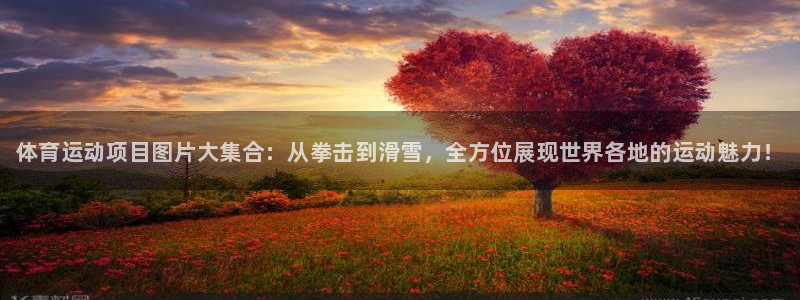 3377体育官网下载平台注册要钱吗安全吗：体育运动项
