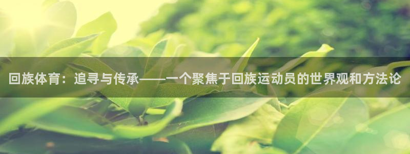 注册3377体育官方正版app：回族体育：追寻与传承