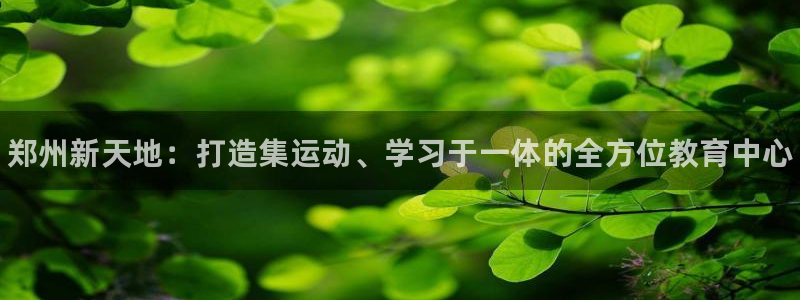 3377体育官方正版app娱乐40996：郑州新天地