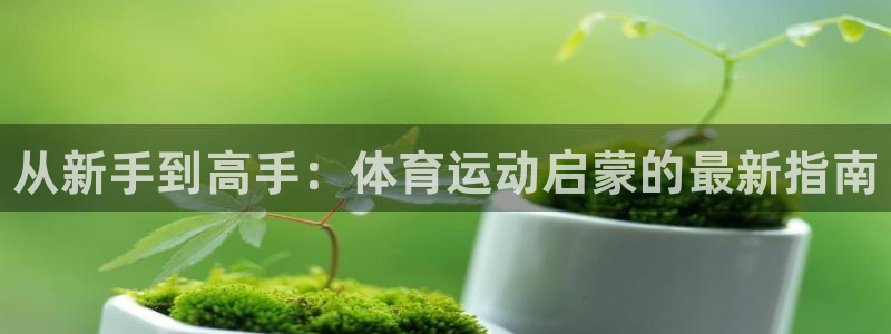 3377体育官网下载招商电话地址查询：从新手到高手：