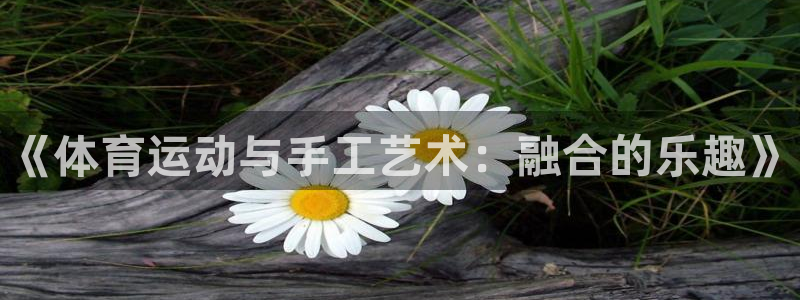 3377体育官网下载软件：《体育运动与手工艺术：融合