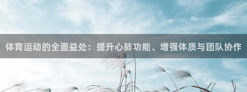 3377体育官网下载平台APP：体育运动的全面益处：
