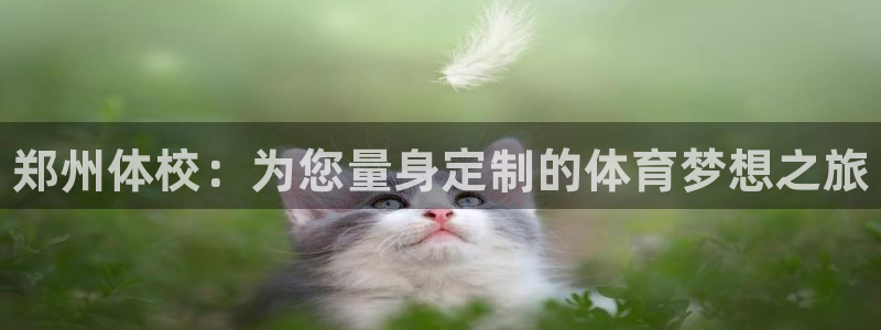 3377体育官网下载平台注册要钱吗：郑州体校：为您量