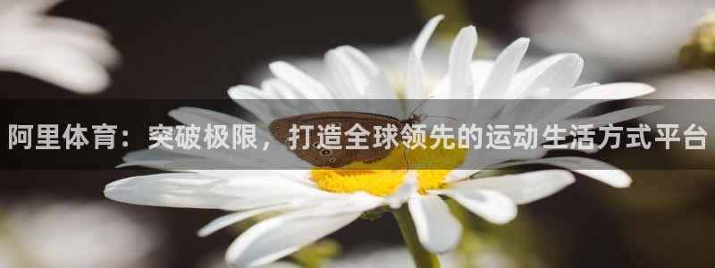 3377体育官方正版app官方：阿里体育：突破极限，