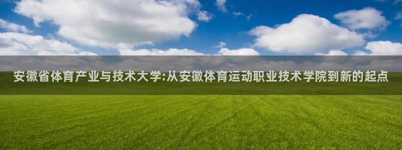 德国3377体育官方正版app集团：安徽省体育产业与