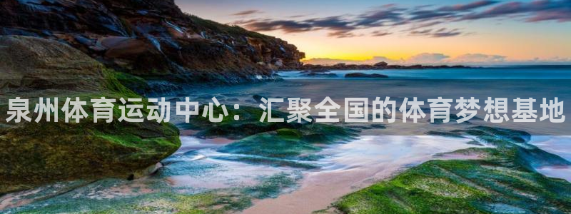 3377体育官网下载平台注册流程图：泉州体育运动中心