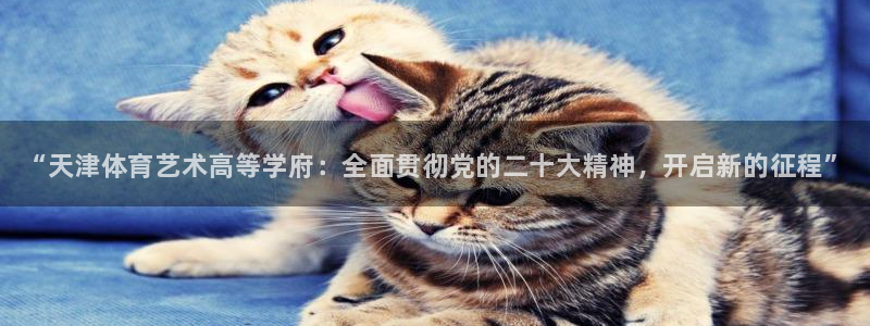 3377体育官方正版app集团简介：“天津体育艺术高