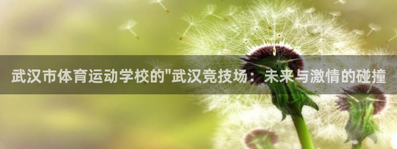 3377体育官网下载招商电话号码查询