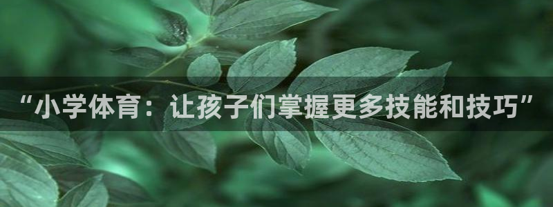 3377体育官方正版app集团logo：“小学体育：让孩子们