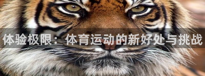 3377体育官方正版app集团E.ON：体验极限：体
