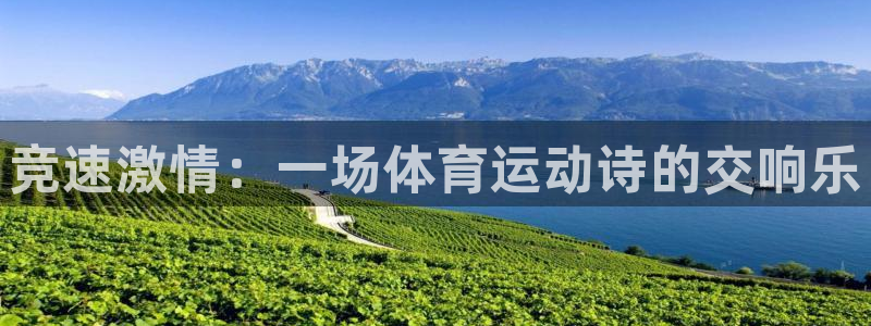 3377体育官方正版app娱乐下载：竞速激情：一场体