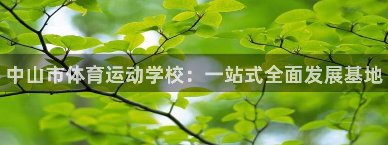 3377体育官网下载招商电话号码是多少啊：中山市体育
