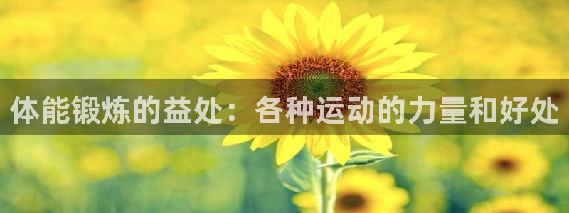 3377体育官方正版app集团：体能锻炼的益处：各种运动的力