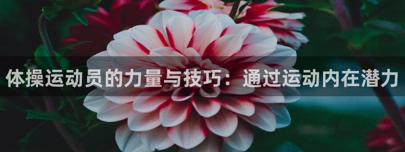 3377体育官网下载软件：体操运动员的力量与技巧：通