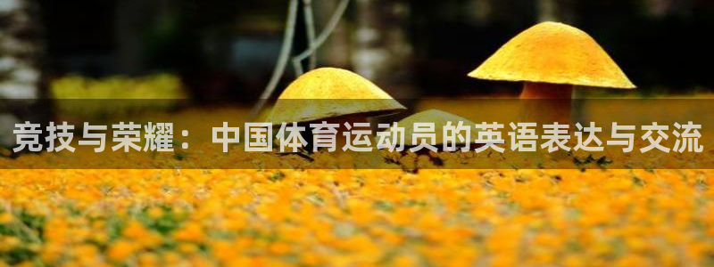 3377体育官网下载招商