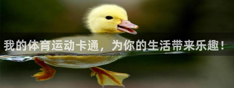3377体育官方正版app集团：我的体育运动卡通，为你的生活