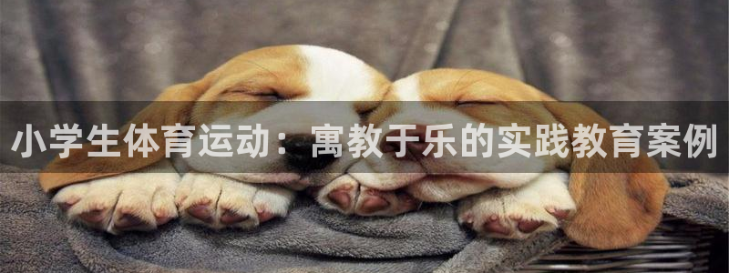 3377体育官方正版app娱乐首页官网下载：小学生体育运动：