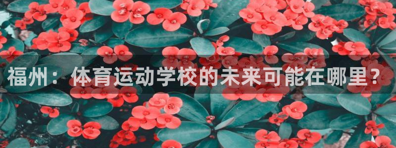 3377体育官方正版app娱乐首页官网下载：福州：体育运动学