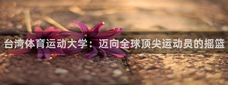 3377体育官方正版app集团简介