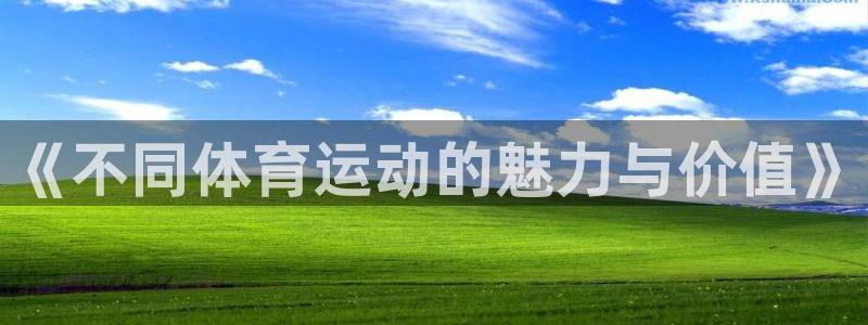 3377体育官方正版app娱乐首页网站大全