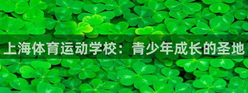 3377体育官网下载开户：上海体育运动学校：青少年成长的圣地
