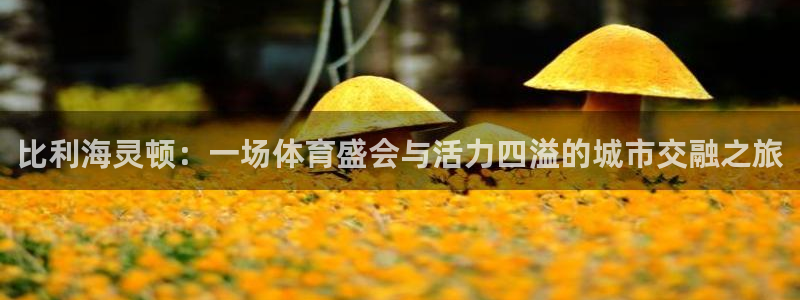 3377体育官网下载平台APP：比利海灵顿：一场体育盛会与活