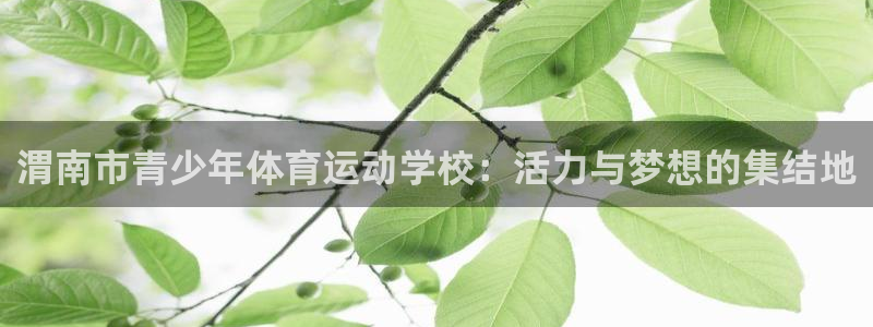 3377体育：渭南市青少年体育运动学