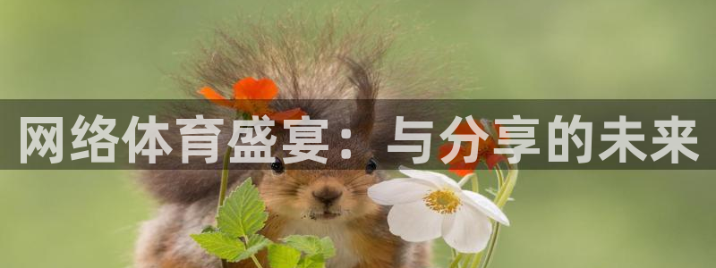 3377体育提款容易通过吗：网络体育