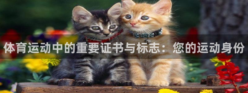 3377体育app官网下载地址：体育