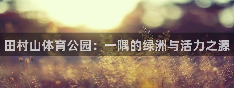 3377体育官网下载：田村山体育公园