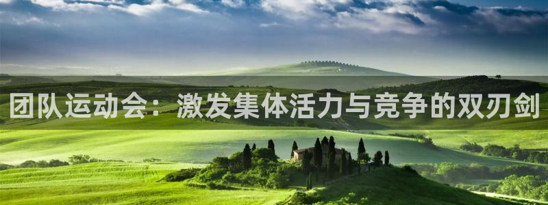 3377体育黑款吗：团队运动会：激发集体活力与竞争的双刃剑