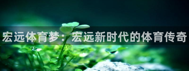 3377体育官网下载：宏远体育梦：宏远新时代的体育传奇