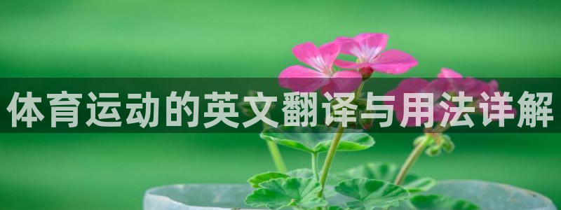 3377体育不出款：体育运动的英文翻译与用法详解