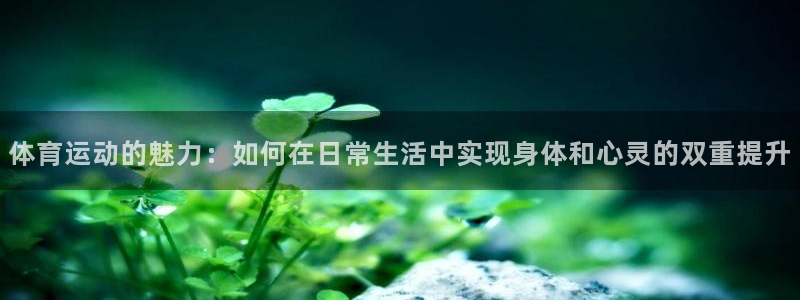 3377体育中国官方网站入口：体育运