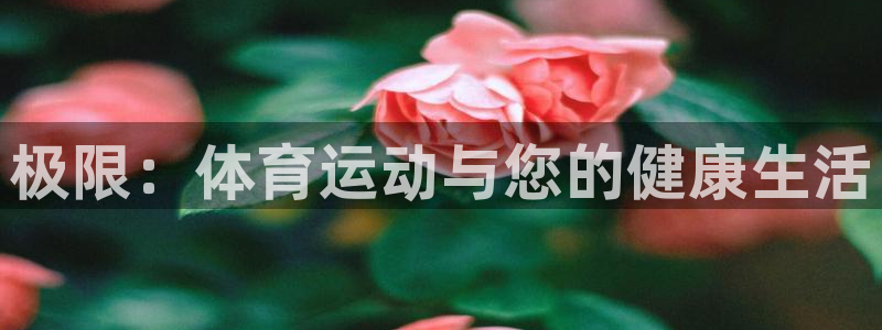 3377体育提款失败的原因分析